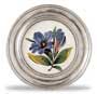 decorative wall plate
