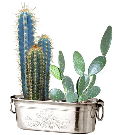 Jardiniere