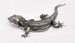 Kleine Statue - Gecko, Grau