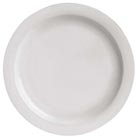 dinner plate