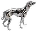 dog (Engrave personalized)