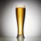 Bierglas (Pilsner) Grau, cm h 23,1 x cl 35,5