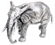 elephant  sculture   cm 14,5x9,5